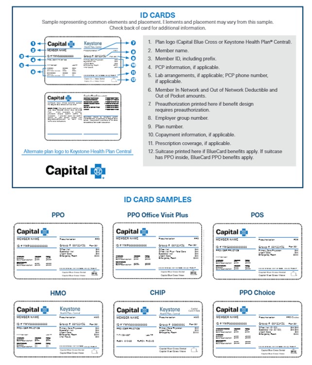ID card sample representing common elements and placement