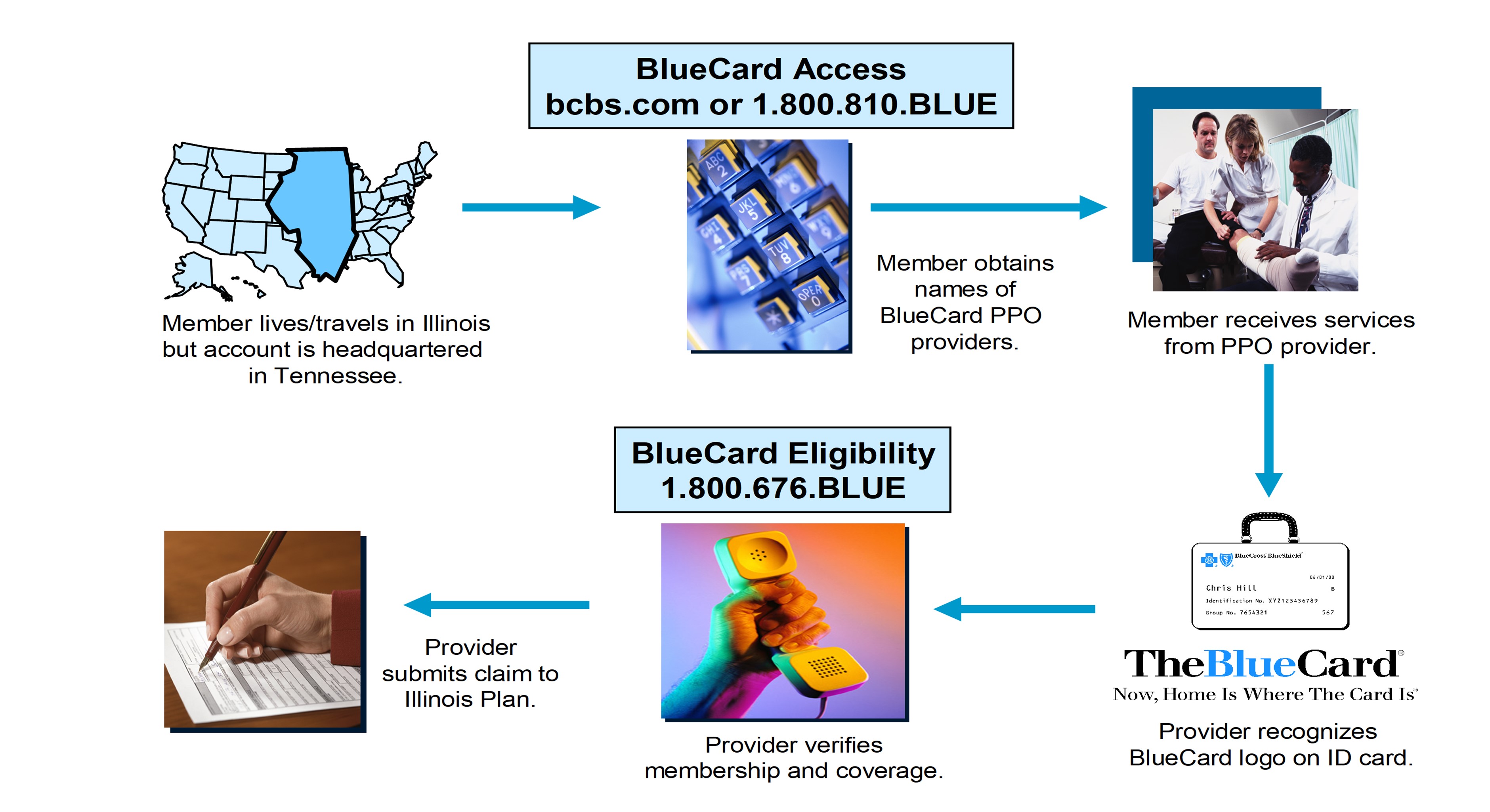 BlueCard program workflow chart