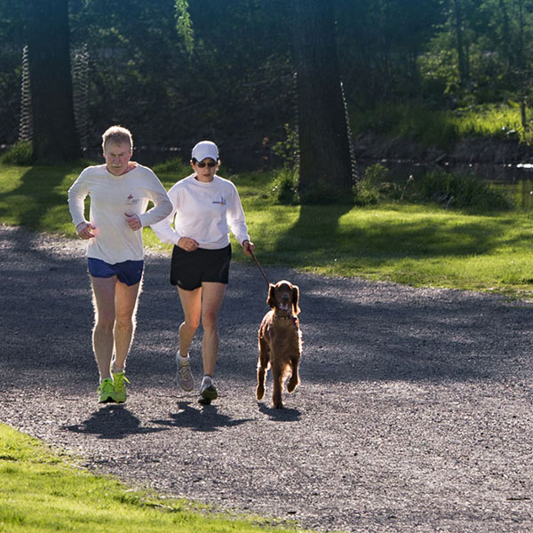 Couple running with their dog