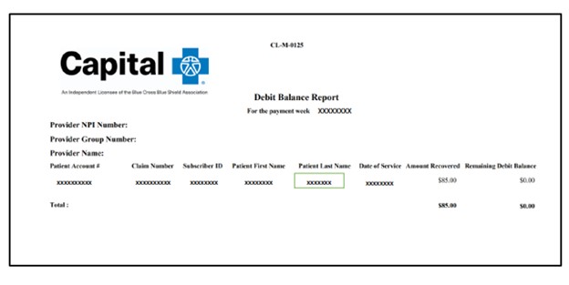 Debit Balance Report (DBR) sample
