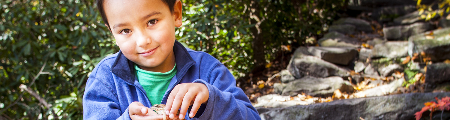 Chip Health Insurance Plans For Children